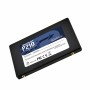 Hard Disk Patriot Memory P210 2 TB SSD