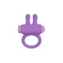 Anelli Fallici Party Color Toys Lilla Silicone