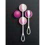 Kit d'Allenamento Weighted Kegel Gvibe Geisha Mini Fucsia