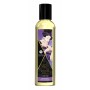 Kit Piacere Grande Shunga Fruity Kisses