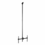 Supporto TV Startech FPCEILPTBLP 50 kg 32" 75"