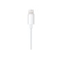 Cavo da Audio Jack a Lightning Apple MXK22ZM/A 1,2 m