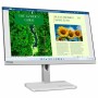 Monitor Lenovo L24m-40 23,8" LCD 50-60 Hz