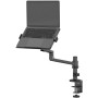 Supporto per Portatile, eBook e iPad Neomounts DS20-425BL1 17,3" 11,6"