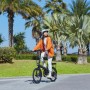 Bicicletta Elettrica Xiaomi QICYCLE 20" 250W Grigio 250 W 7500 mAh 20"