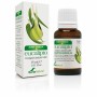 Integratore digestivo Soria Natural Eucalipto 15 ml