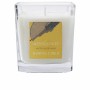 Candela Profumata Alyssa Ashley Shining Citrus 145 g