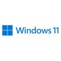 Sintonizzatore Microsoft Windows 11 Pro