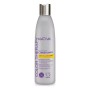 Balsamo Protezione Colore Blue Violet Anti-Yellow Effect Kativa (250 ml)