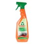 Detergente per superfici Kitchen Frosch Localization_B07GB81L71 (750 ml) 750 ml