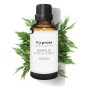 Olio Essenziale Cypress Daffoil Daffoil 100 ml