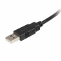 Cavo USB A con USB B Startech USB2HAB5M      Nero