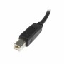 Cavo USB A con USB B Startech USB2HAB5M      Nero