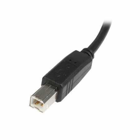 Cavo USB A con USB B Startech USB2HAB3M      Nero