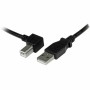 Cavo USB A con USB B Startech USBAB2ML       Nero