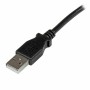 Cavo USB A con USB B Startech USBAB2ML       Nero