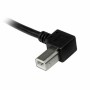 Cavo USB A con USB B Startech USBAB2ML       Nero