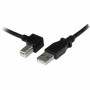 Cavo USB A con USB B Startech USBAB1ML       Nero