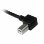 Cavo USB A con USB B Startech USBAB1ML       Nero