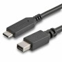 Cavo DisplayPort Startech CDP2MDPMM6B Nero