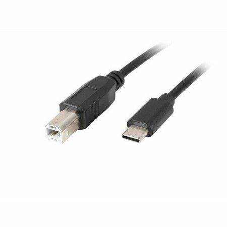 Cavo USB C Lanberg CA-USBA-13CC-0018-BK 1.8 m