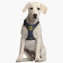 Imbracatura per Cani Batman XXS/XS Azzurro