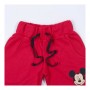 Set di Indumenti Mickey Mouse Grigio