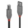 Cavo USB A con USB B LINDY 36672 Nero 1 m