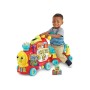 Cavalcabili Vtech Baby 80-547805 (FR)