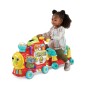 Cavalcabili Vtech Baby 80-547805 (FR)