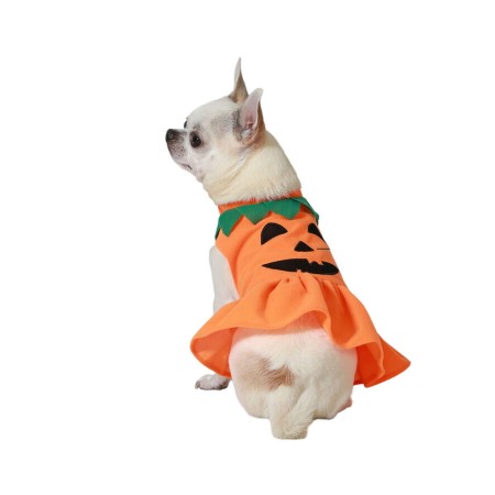 Costume per Cane Zucca Taglia S