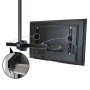 Supporto TV Startech FPCEILPTBSP