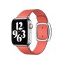 Cinturino per Orologio Apple Watch Apple MY622ZM/A Rosa