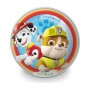 Palla The Paw Patrol The Paw Patrol 26017 PVC (230 mm)