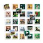 Gioco Educativo Diset Memo Photo Animales 54 Pezzi