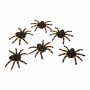 Decorazione per Halloween My Other Me Ragno Luminoso (6 uds) (6 x 7 cm)