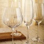 Calice per vino Bohemia Crystal Optic Trasparente 650 ml 6 Unità