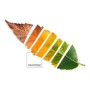 Copripiumino Leaf Pantone