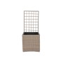 Vaso Home ESPRIT polipropilene Rattan 48 x 52 x 114 cm