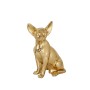 Statua Decorativa Romimex Chihuahua Dorato 19 x 25 x 14 cm