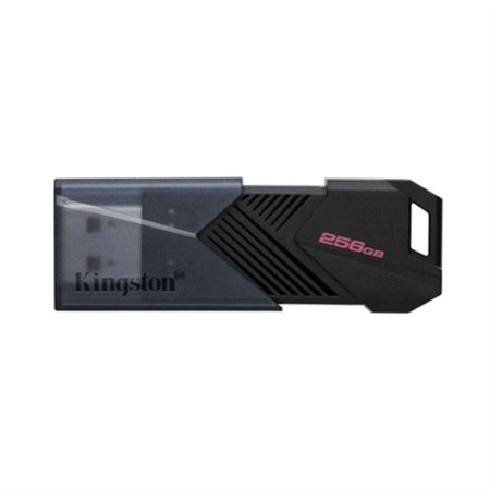 Memoria USB Kingston DTXON/256GB