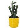 Set di vasi da fiori Alexandra House Living Giallo Ceramica (3 Pezzi)