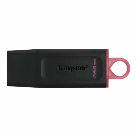 Memoria USB Kingston DTX/256GB Portachiavi Nero 256 GB