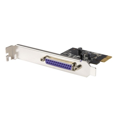 Scheda PCI Startech PEX1P2