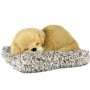 Peluche con Suono Alexandra House Living Grigio Cane 14 x 6 x 13 cm Mini