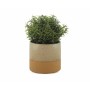 Vaso Alexandra House Living Beige Cammello Ceramica 13 x 13 x 13 cm