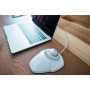 Mouse Kensington Bianco Argentato Argento