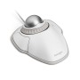 Mouse Kensington Bianco Argentato Argento