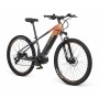 Bicicletta Elettrica Youin KILIMANJARO2 29 MTB 250 W 29"