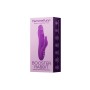 Vibratore Doppia Stimolazione FemmeFunn Booster Rabbit Viola